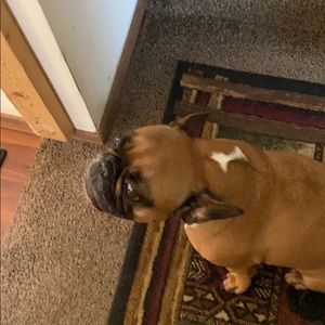 Meet your Posher, Wendy